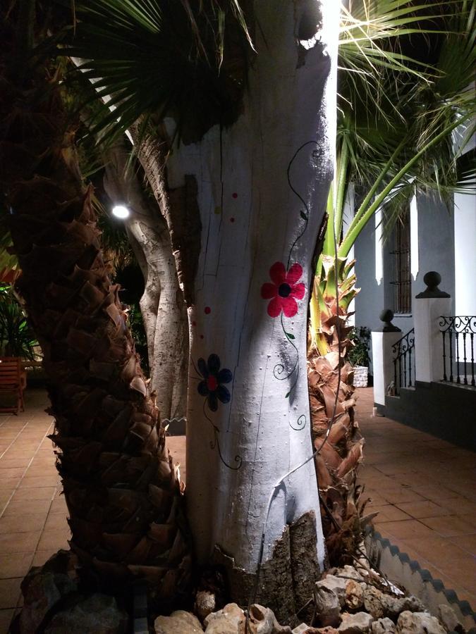 Nwt Paradise Urban Hostel Alicante Exterior photo
