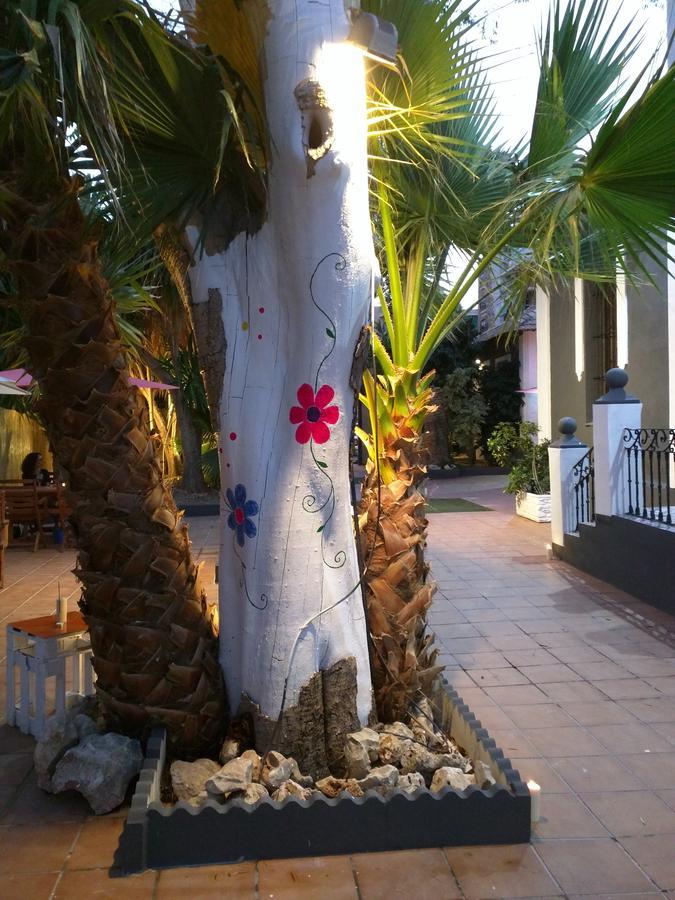Nwt Paradise Urban Hostel Alicante Exterior photo