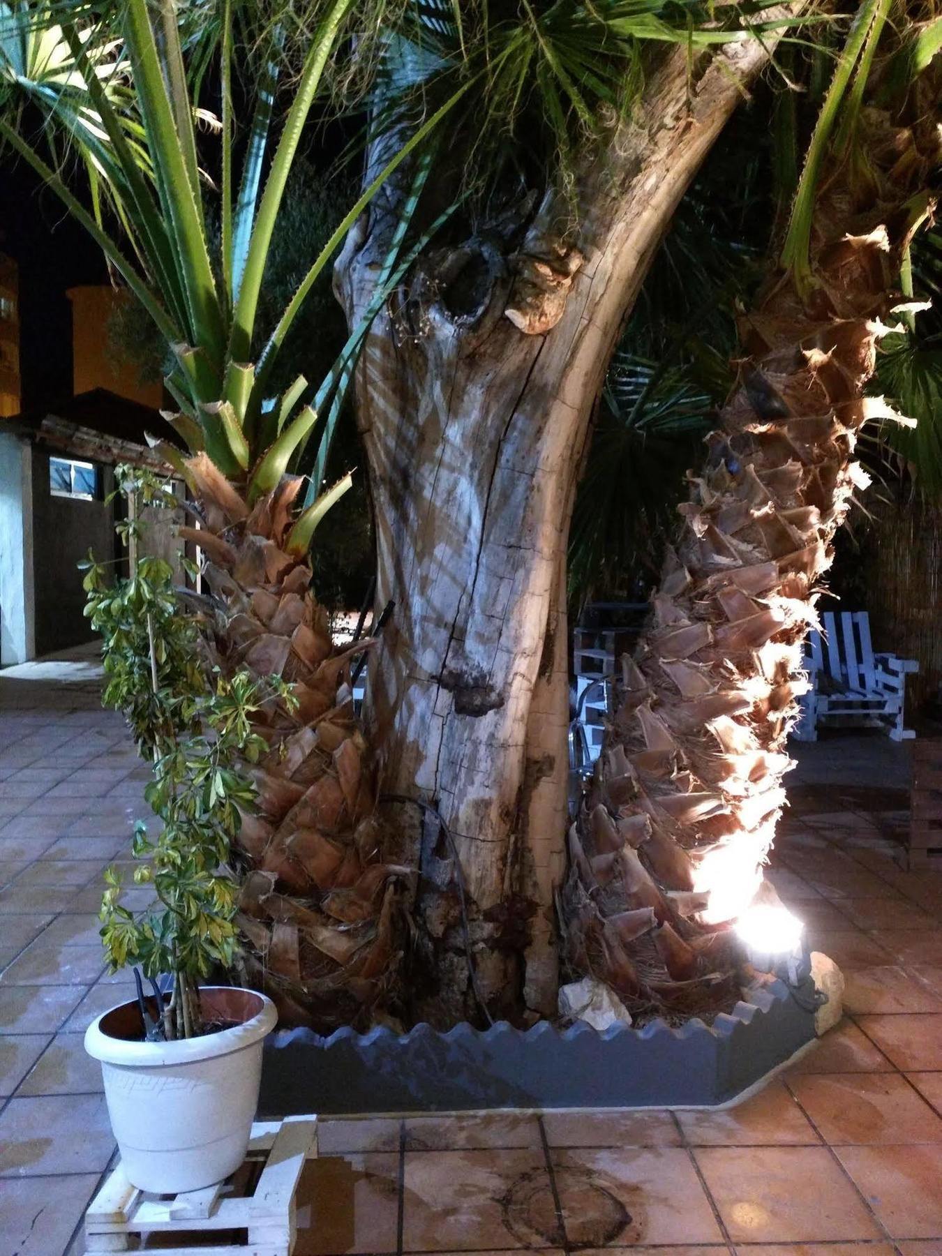 Nwt Paradise Urban Hostel Alicante Exterior photo